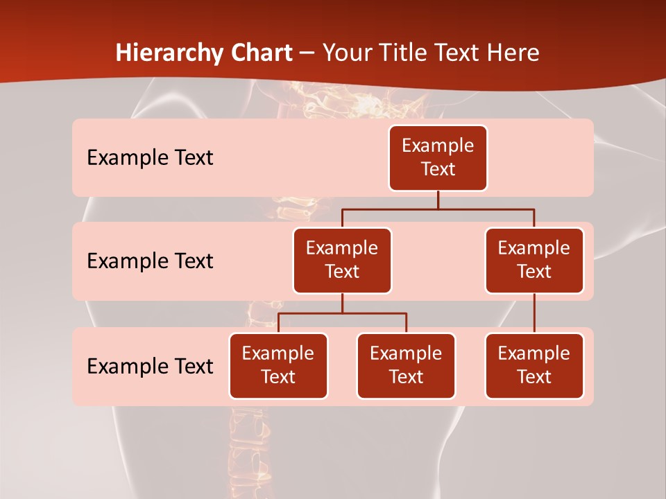 Roentgen Health Science PowerPoint Template