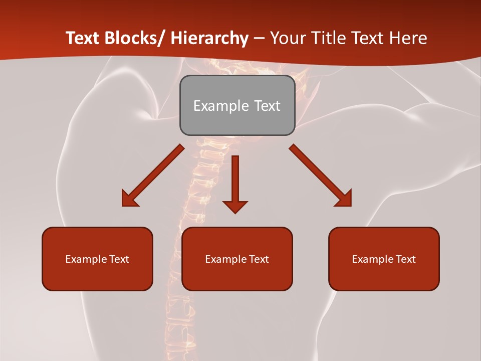 Roentgen Health Science PowerPoint Template