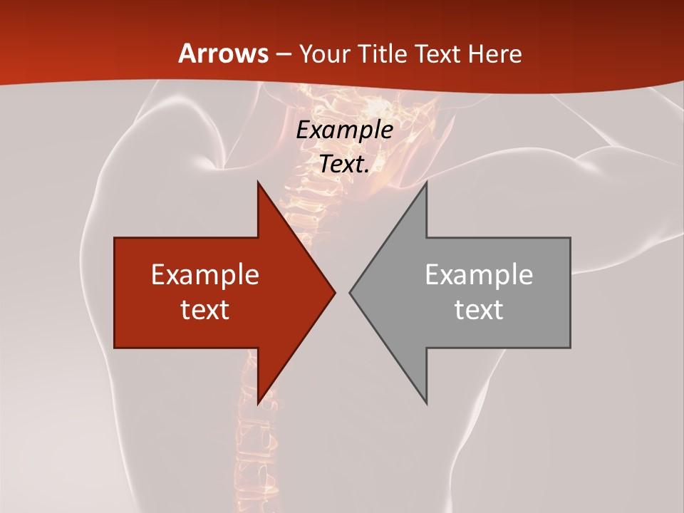 Roentgen Health Science PowerPoint Template