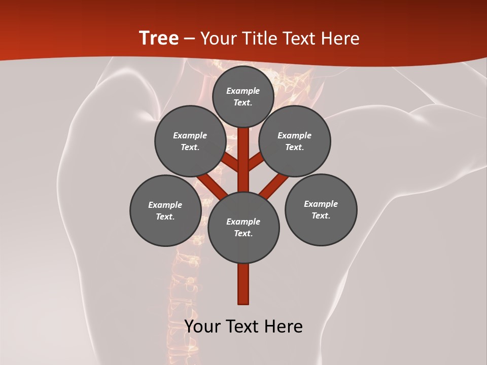 Roentgen Health Science PowerPoint Template