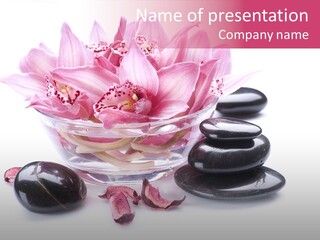 Beauty Rock Life PowerPoint Template