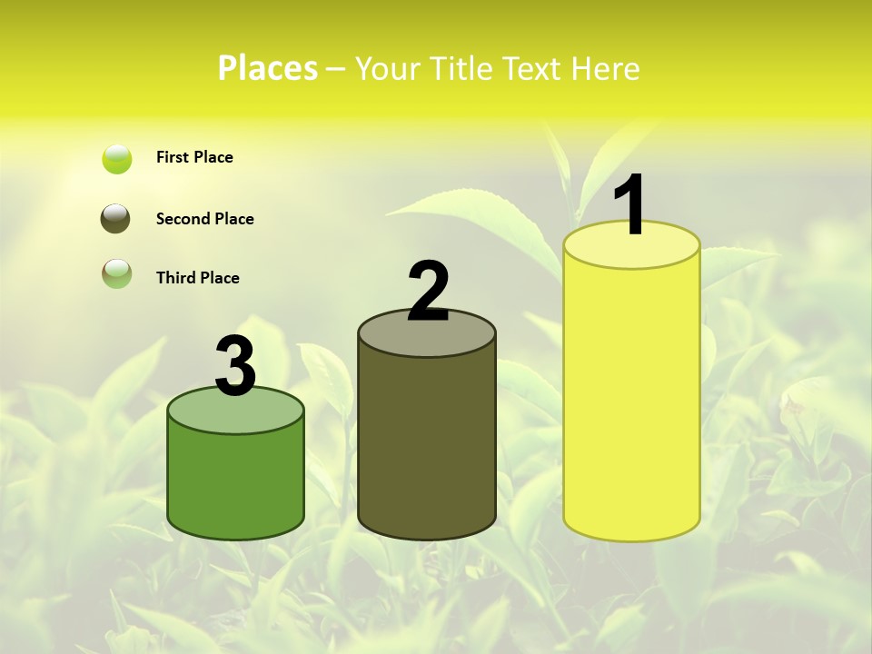 Kerala South Munnar PowerPoint Template