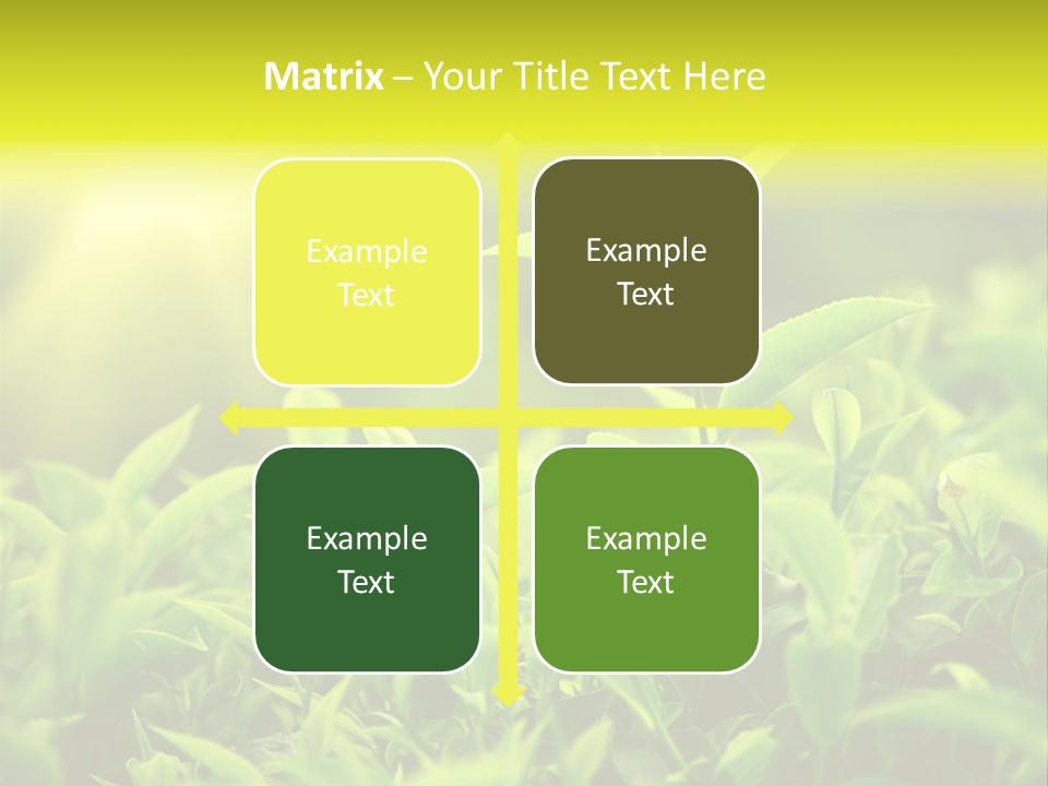 Kerala South Munnar PowerPoint Template