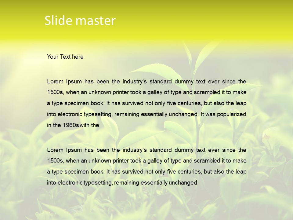 Kerala South Munnar PowerPoint Template