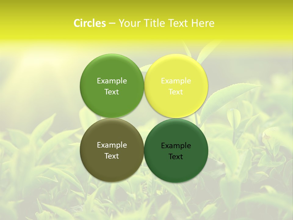 Kerala South Munnar PowerPoint Template