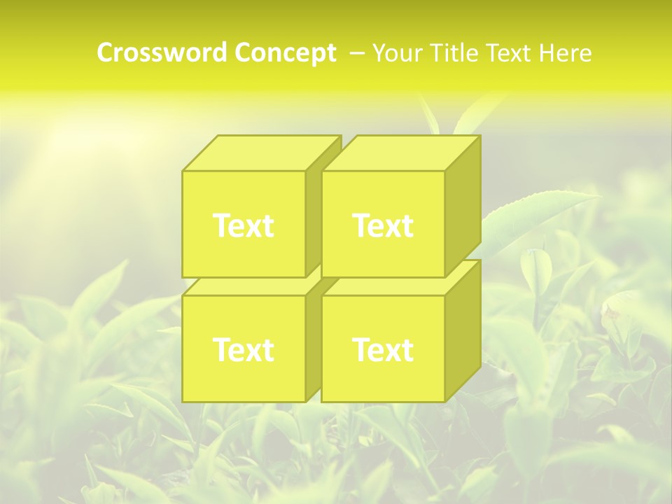 Kerala South Munnar PowerPoint Template
