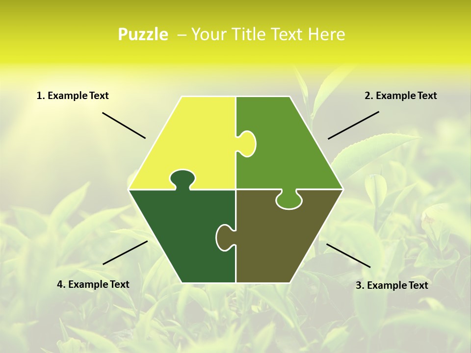 Kerala South Munnar PowerPoint Template