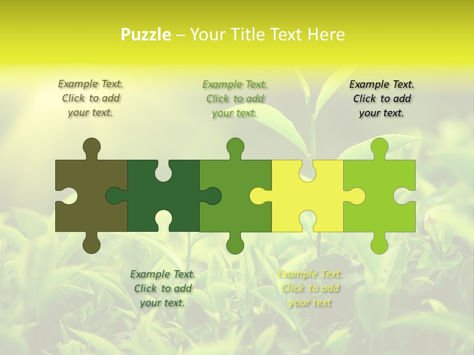 Kerala South Munnar PowerPoint Template