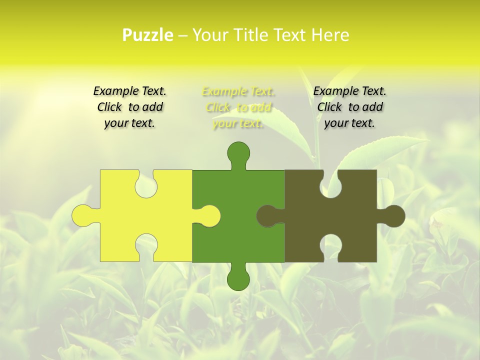 Kerala South Munnar PowerPoint Template