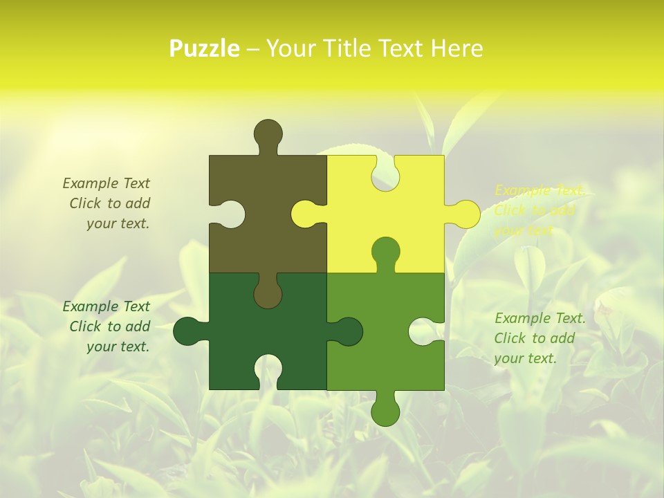 Kerala South Munnar PowerPoint Template