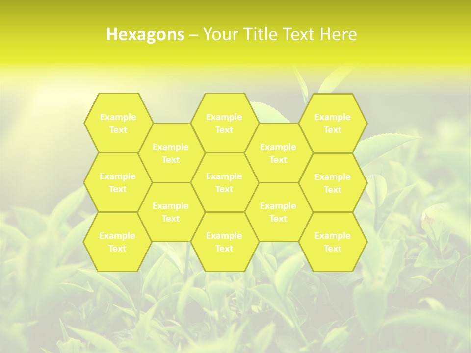 Kerala South Munnar PowerPoint Template