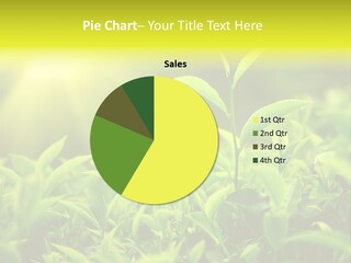 Kerala South Munnar PowerPoint Template