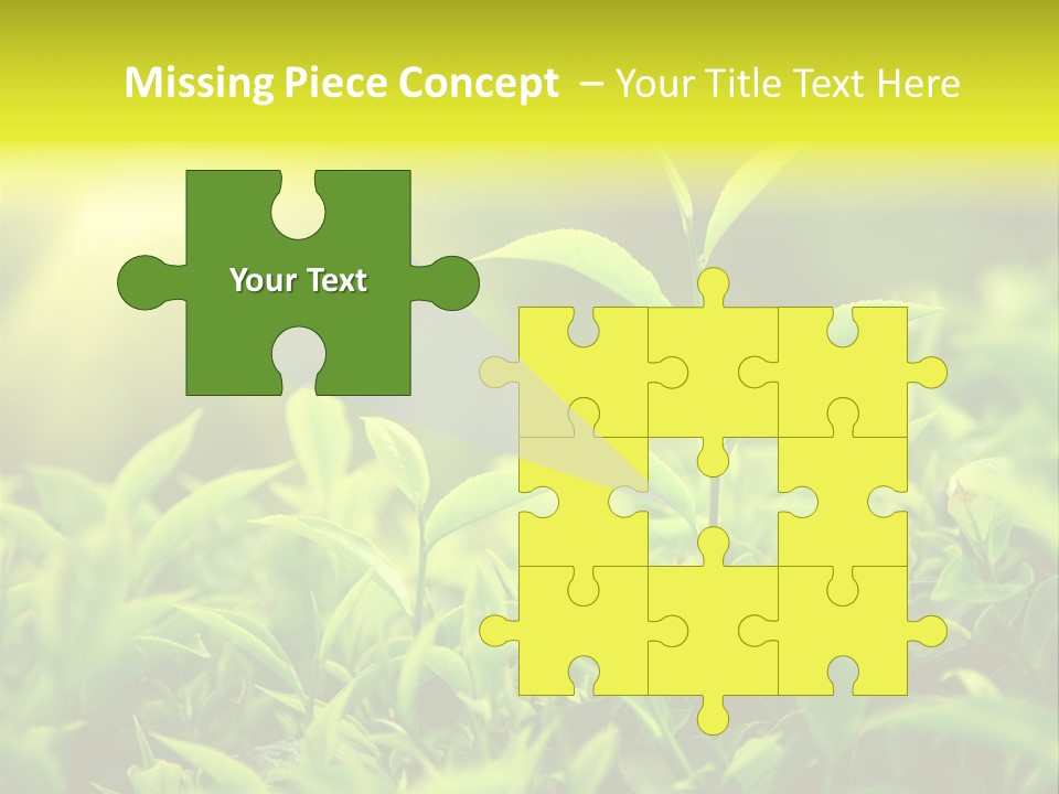 Kerala South Munnar PowerPoint Template