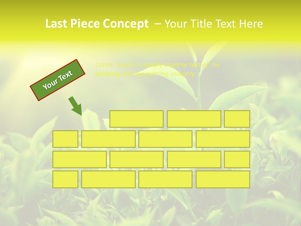 Kerala South Munnar PowerPoint Template