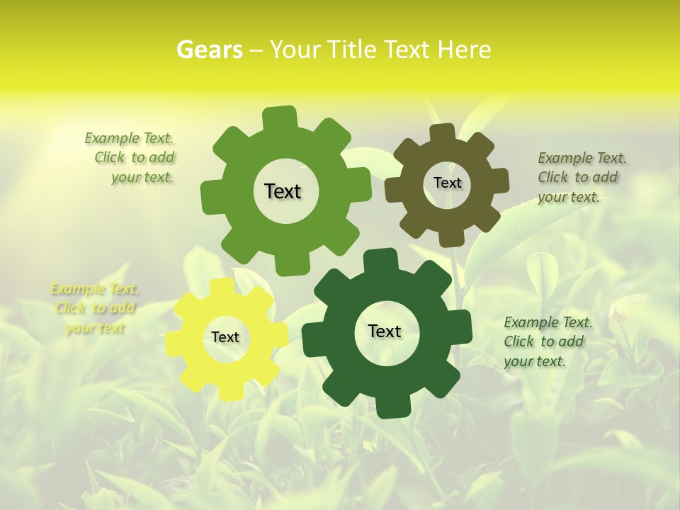 Kerala South Munnar PowerPoint Template