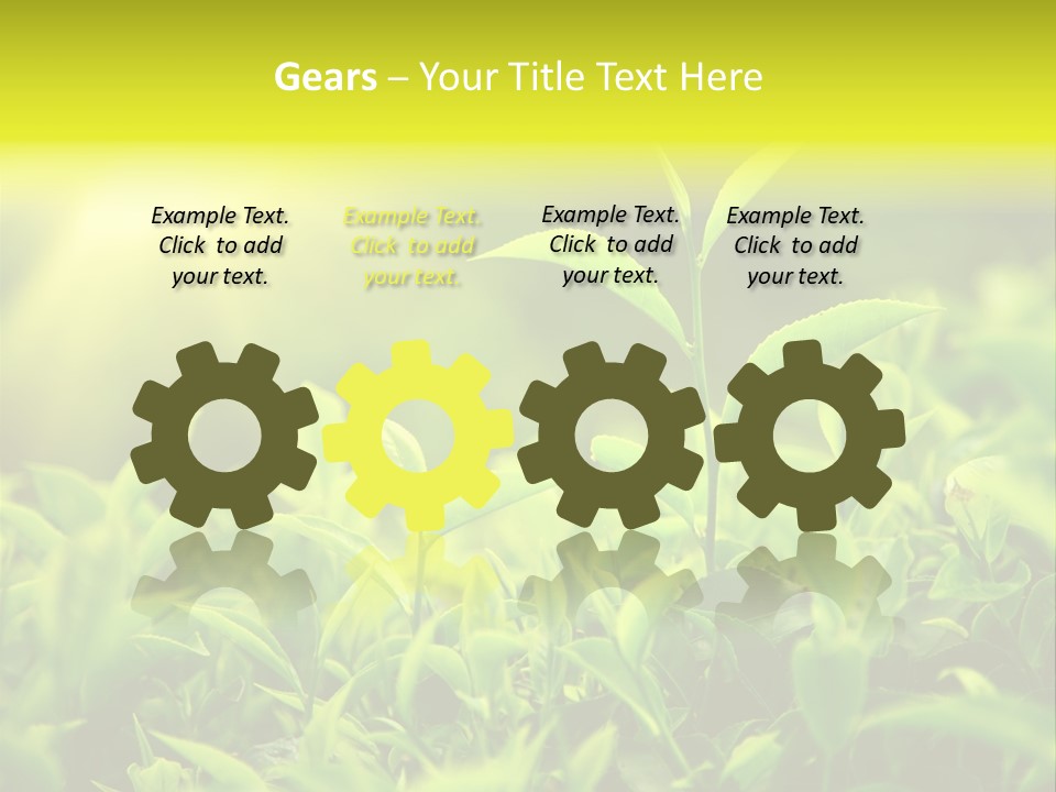 Kerala South Munnar PowerPoint Template