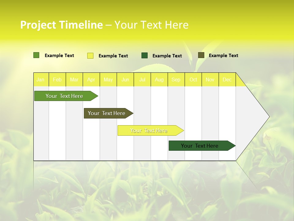 Kerala South Munnar PowerPoint Template