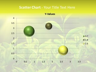 Kerala South Munnar PowerPoint Template