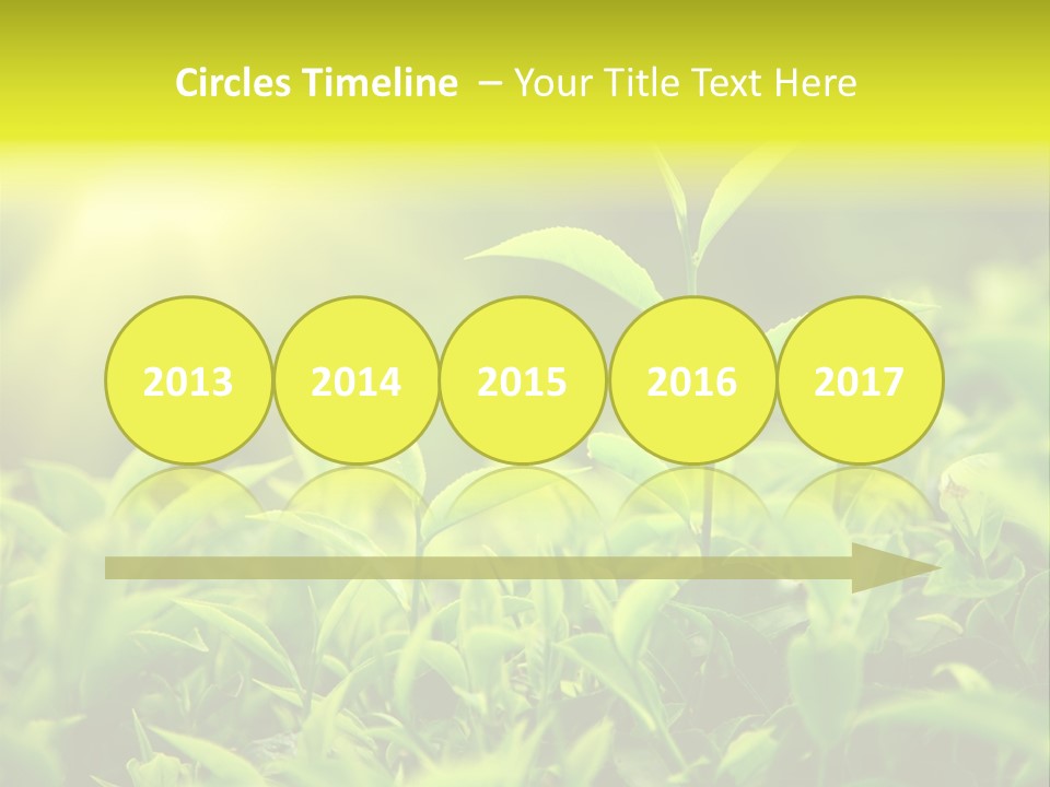 Kerala South Munnar PowerPoint Template