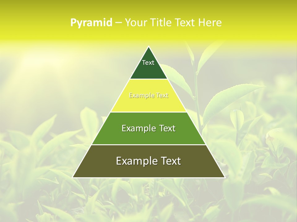 Kerala South Munnar PowerPoint Template