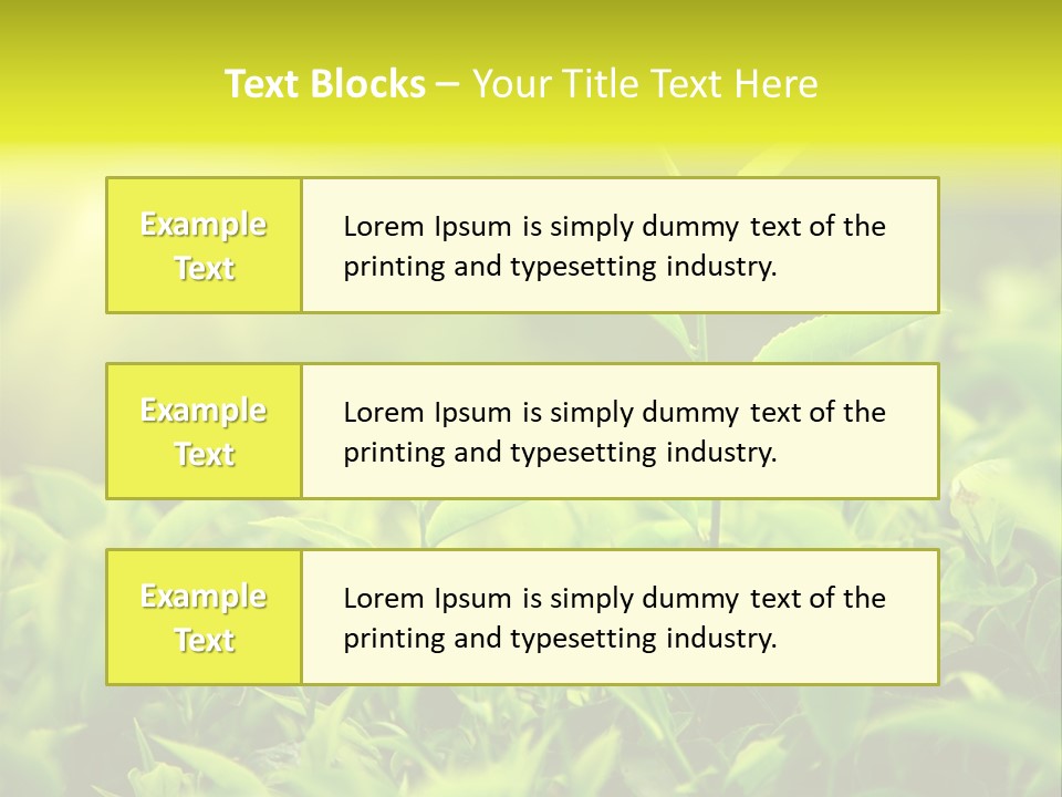 Kerala South Munnar PowerPoint Template