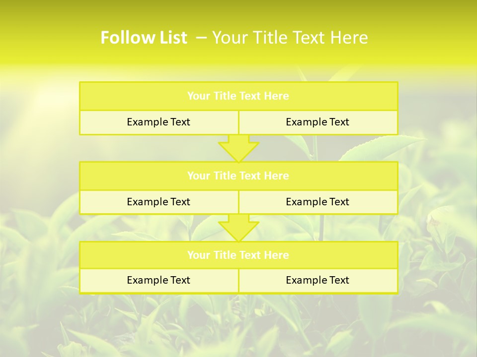 Kerala South Munnar PowerPoint Template