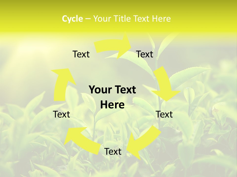 Kerala South Munnar PowerPoint Template