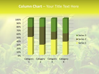 Kerala South Munnar PowerPoint Template