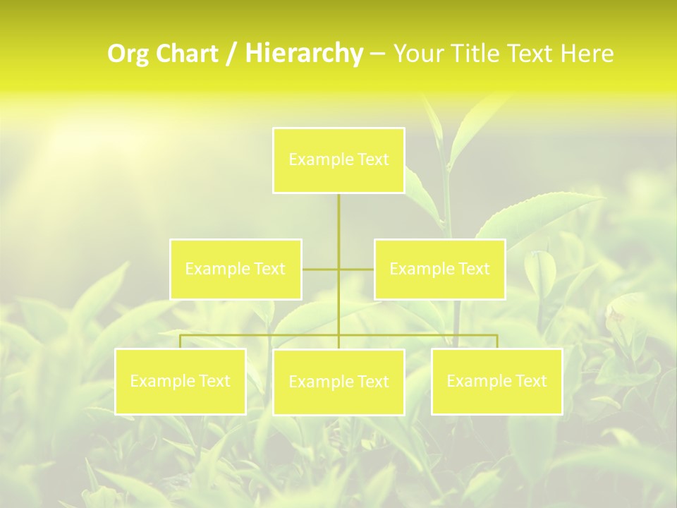 Kerala South Munnar PowerPoint Template