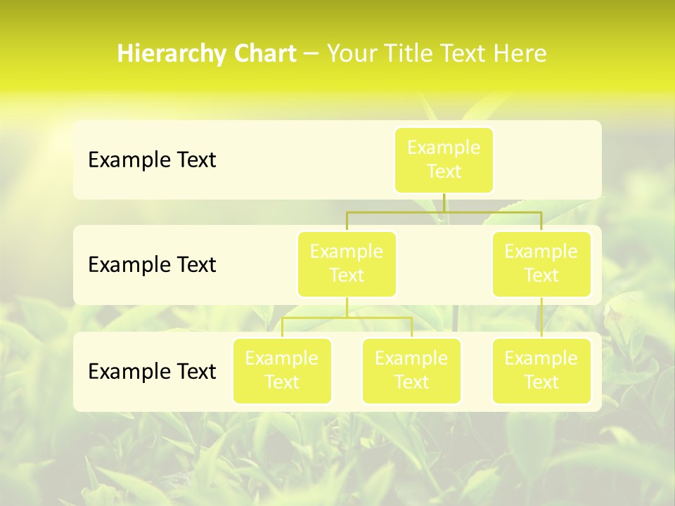 Kerala South Munnar PowerPoint Template