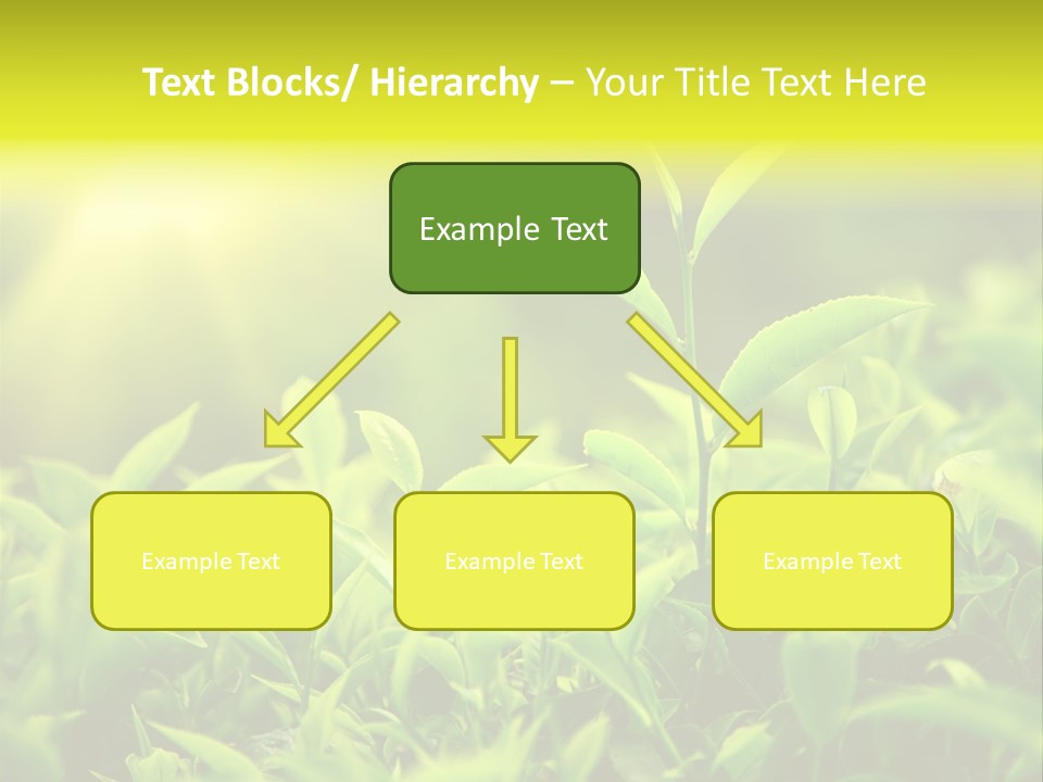 Kerala South Munnar PowerPoint Template