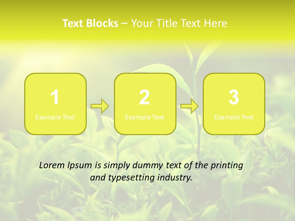 Kerala South Munnar PowerPoint Template