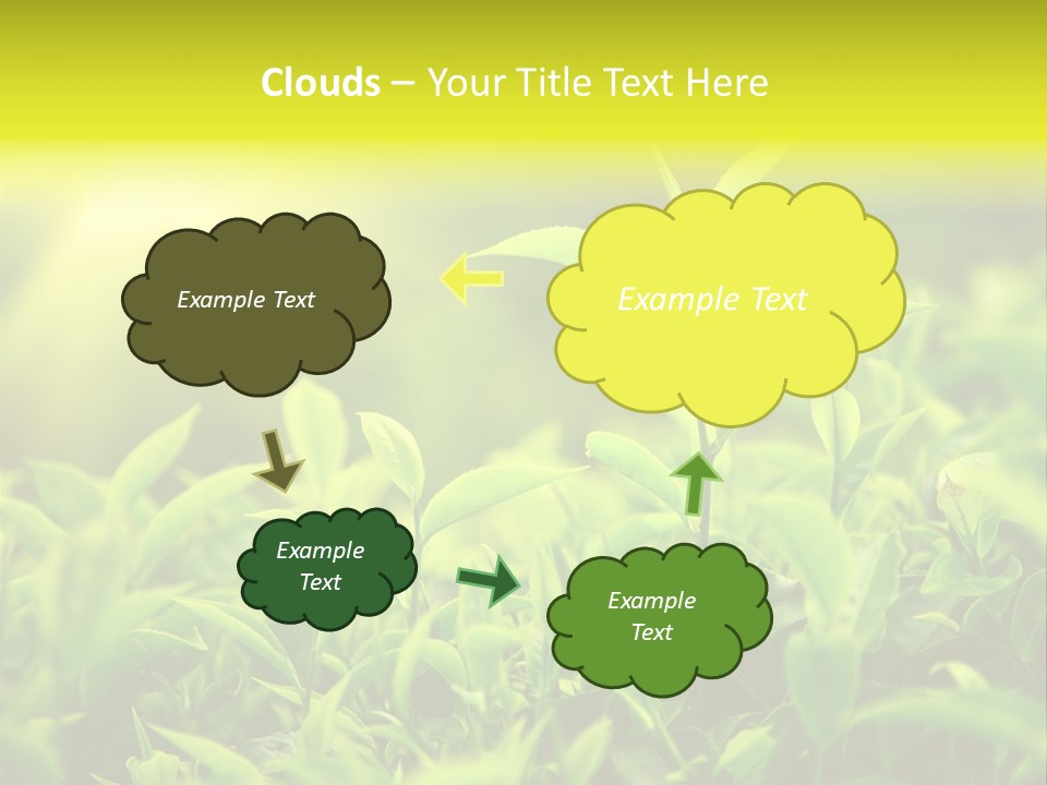 Kerala South Munnar PowerPoint Template