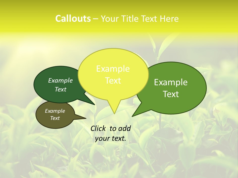 Kerala South Munnar PowerPoint Template