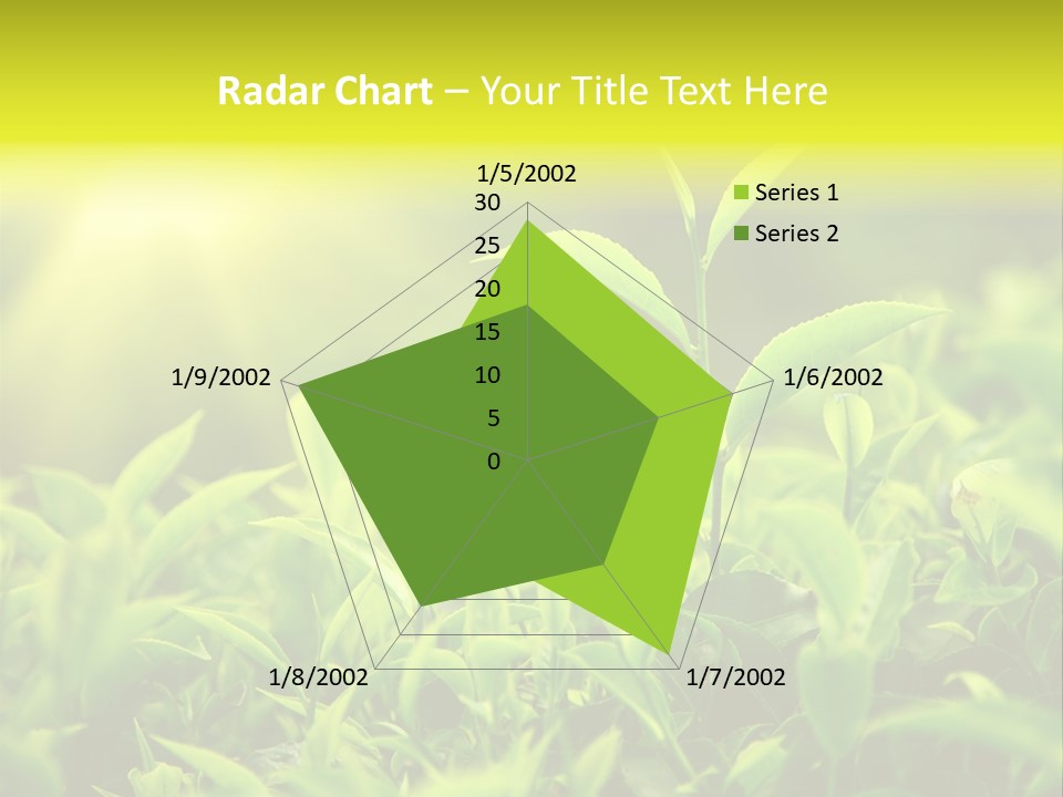 Kerala South Munnar PowerPoint Template