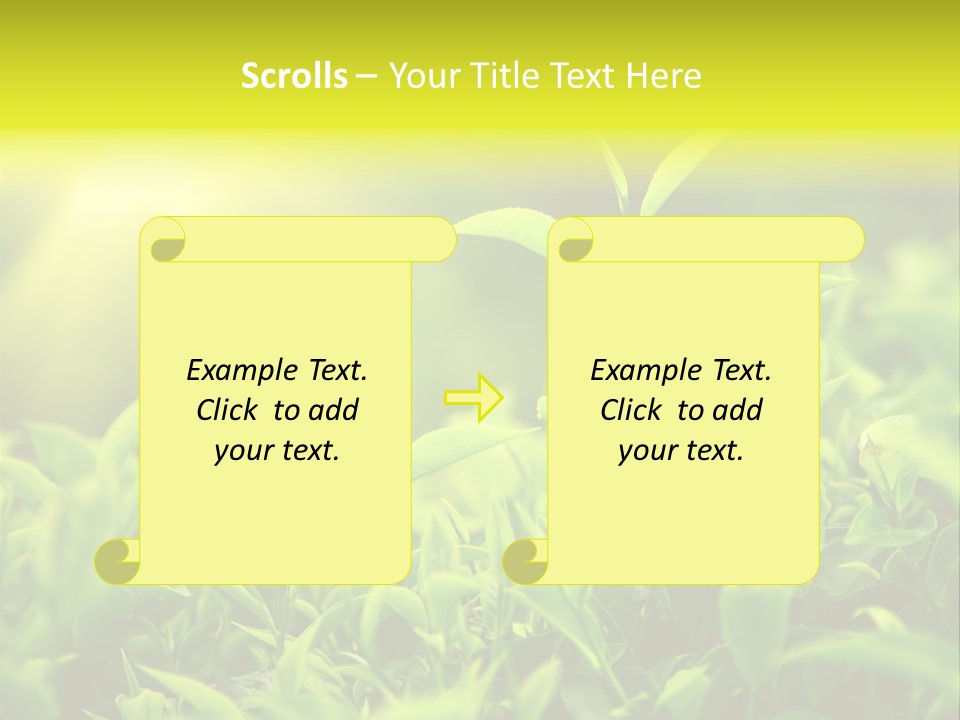 Kerala South Munnar PowerPoint Template