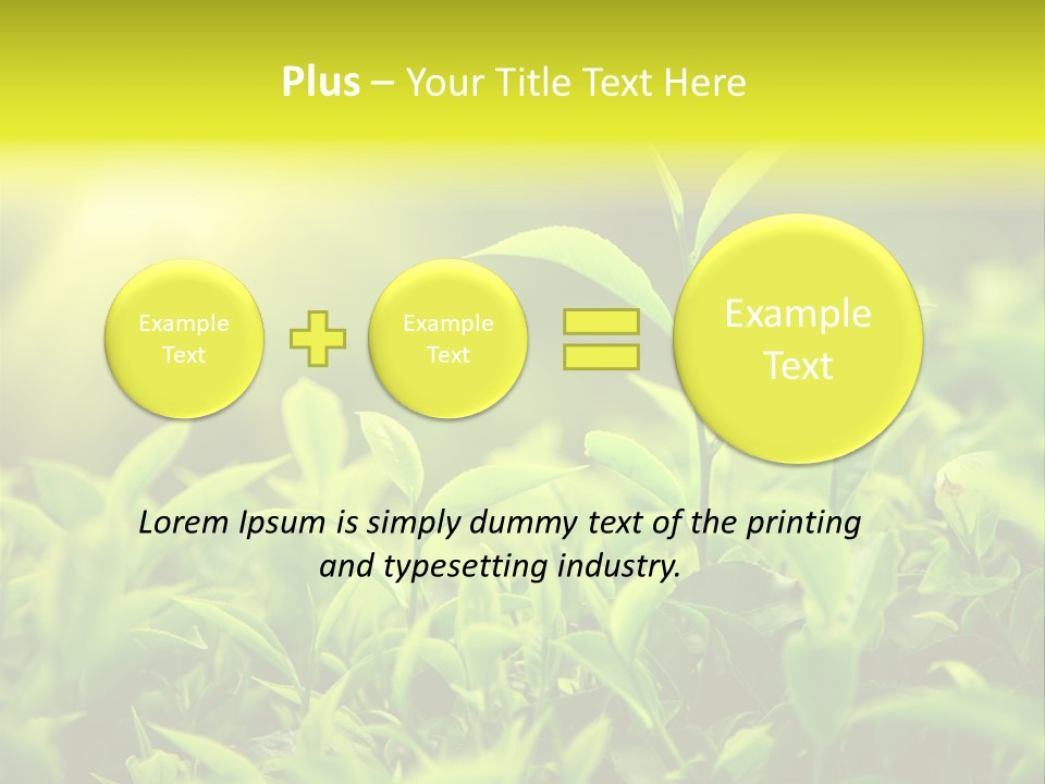 Kerala South Munnar PowerPoint Template