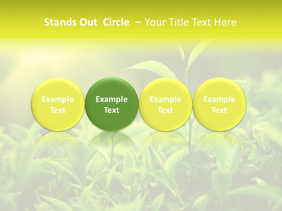 Kerala South Munnar PowerPoint Template