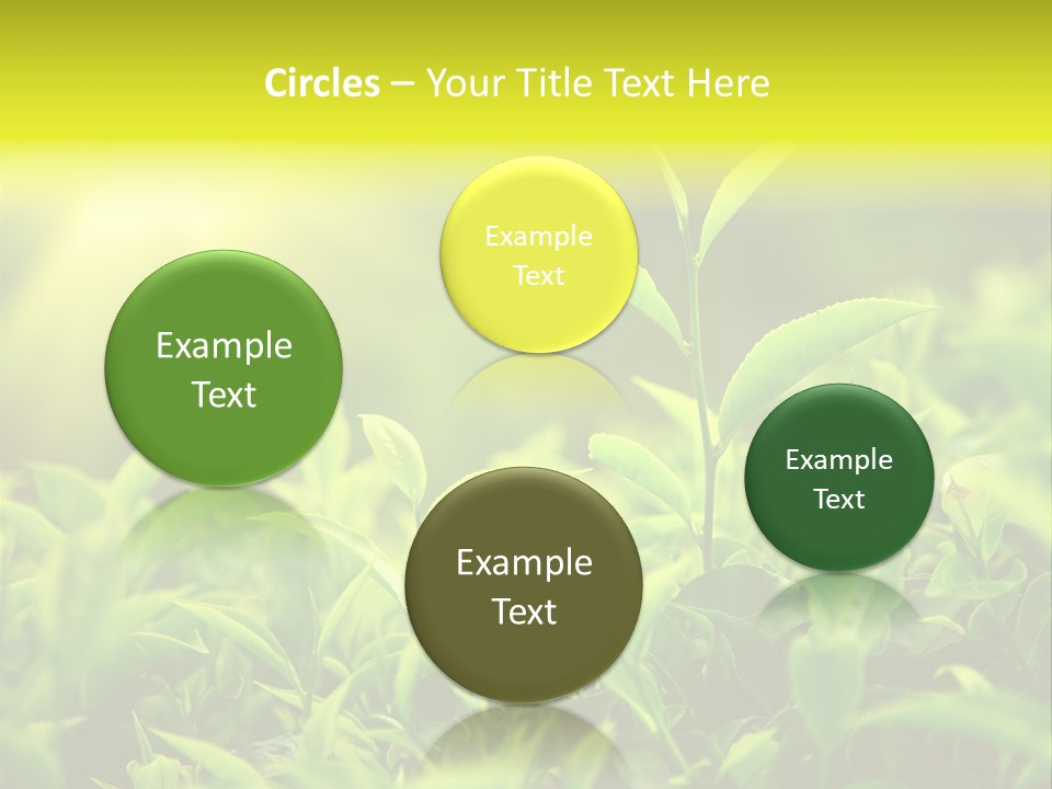 Kerala South Munnar PowerPoint Template