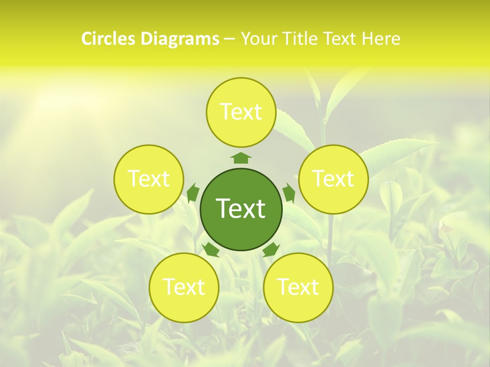 Kerala South Munnar PowerPoint Template