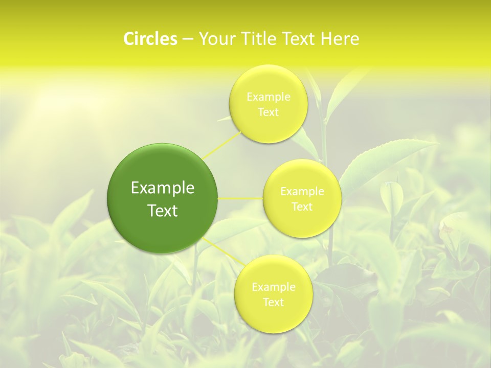 Kerala South Munnar PowerPoint Template