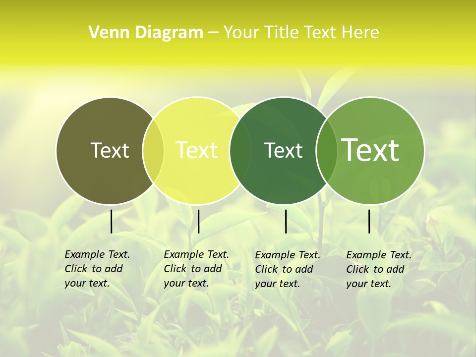 Kerala South Munnar PowerPoint Template