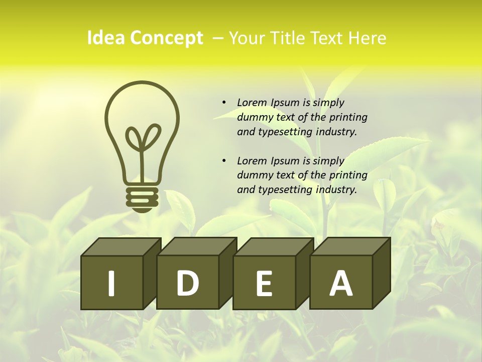 Kerala South Munnar PowerPoint Template