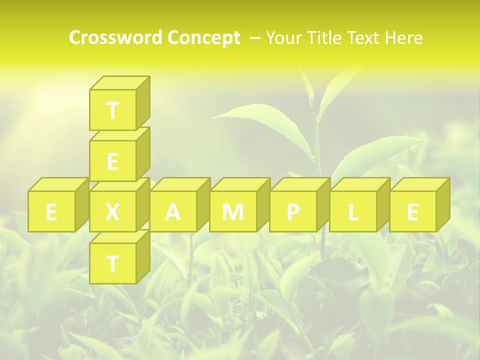 Kerala South Munnar PowerPoint Template