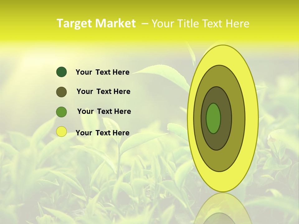 Kerala South Munnar PowerPoint Template