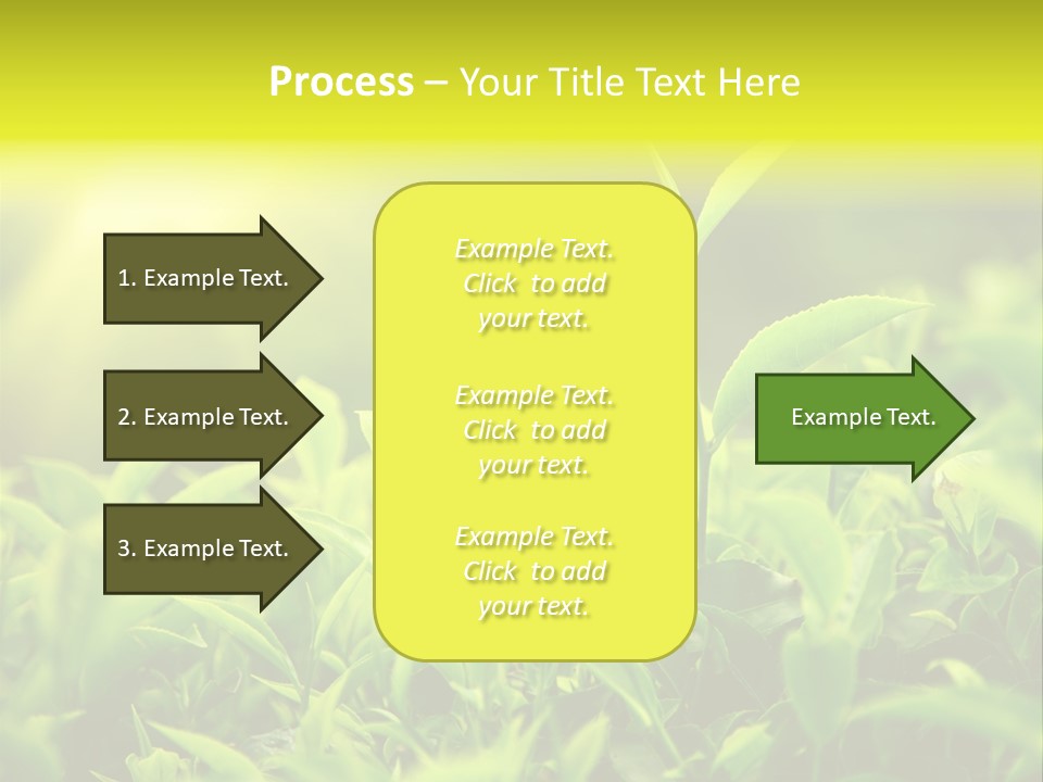 Kerala South Munnar PowerPoint Template
