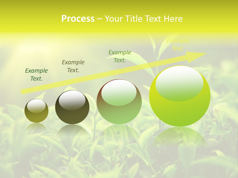 Kerala South Munnar PowerPoint Template