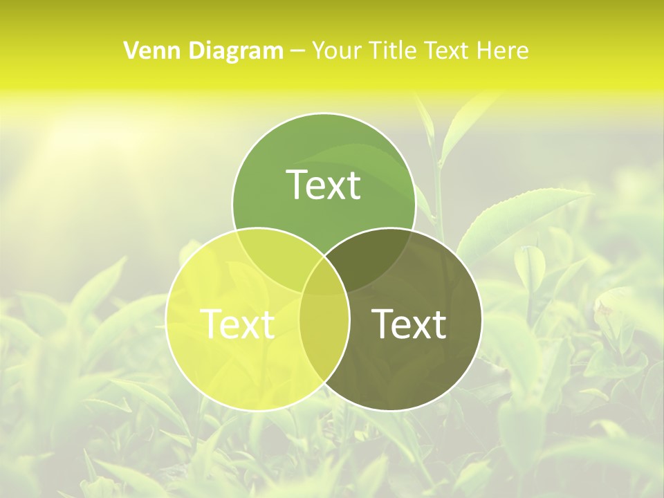 Kerala South Munnar PowerPoint Template