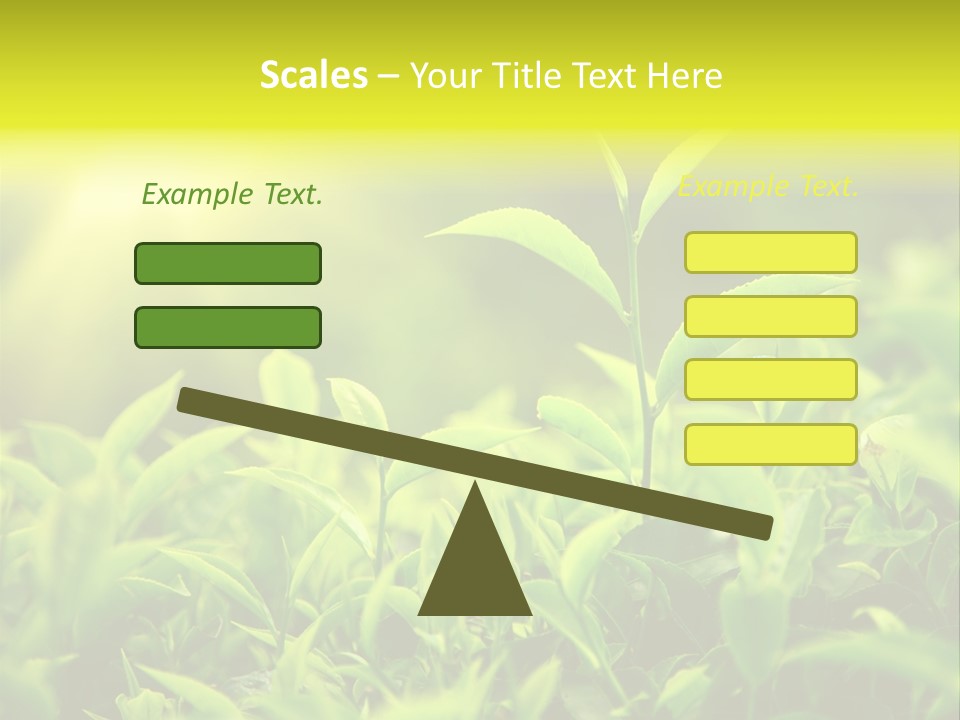Kerala South Munnar PowerPoint Template