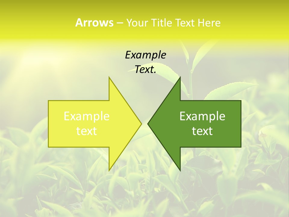 Kerala South Munnar PowerPoint Template